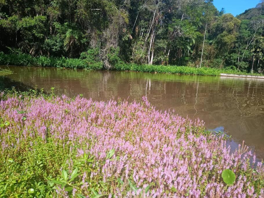 Sitio Paraiso Verde Juquitiba Exteriér fotografie